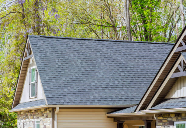 Best Roof Ventilation Installation  in Sour Lake, TX